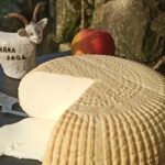 Farma Jaga. Bogucice Drugie / Farma Jaga