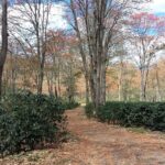 Kostaryka / Danuta Rasała