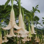 Kostaryka / Danuta Rasała