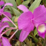 Kostaryka / Danuta Rasała