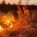 14.03.2022. Pożar traw / archiwum KW PSP Kielce