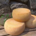 Farma Jaga. Bogucice Drugie / Farma Jaga