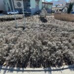 23.03.2022. Kielce. Porządkowanie rabat kwiatowych / Wiktor Taszłow / Radio Kielce