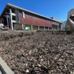 23.03.2022. Kielce. Porządkowanie rabat kwiatowych / Wiktor Taszłow / Radio Kielce