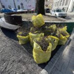 23.03.2022. Kielce. Porządkowanie rabat kwiatowych / Wiktor Taszłow / Radio Kielce