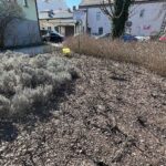 23.03.2022. Kielce. Porządkowanie rabat kwiatowych / Wiktor Taszłow / Radio Kielce