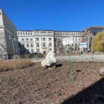 23.03.2022. Kielce. Porządkowanie rabat kwiatowych / Wiktor Taszłow / Radio Kielce