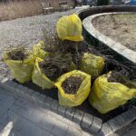 23.03.2022. Kielce. Porządkowanie rabat kwiatowych / Wiktor Taszłow / Radio Kielce