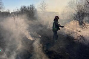 14.03.2022. Pożar traw / archiwum KW PSP Kielce