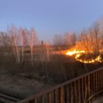 14.03.2022. Pożar traw / archiwum KW PSP Kielce