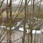 09.03.2022. Rzegocin. Wycinka drzew pod budowę farmy fotowoltaicznej / Elżbieta Szymelfenig