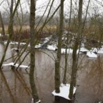 09.03.2022. Rzegocin. Wycinka drzew pod budowę farmy fotowoltaicznej / Elżbieta Szymelfenig