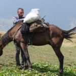 26.03.2022. Muzyczne podróże. Gruzja / Bartłomiej Chojna