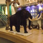 Jakucja / Artur Zieliński