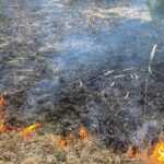 14.03.2022. Pożar traw / archiwum KW PSP Kielce