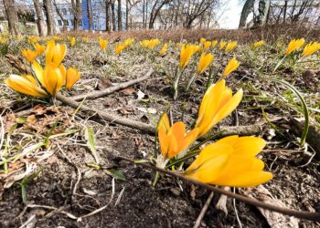 Wyż znad Skandynawii utrzyma u nas ciepłe powietrze