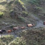26.03.2022. Muzyczne podróże. Gruzja / Bartłomiej Chojna