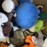 06.03.2022. Kielce. Dom Środowisk Twórczych. Zbiórka darów dla mieszkańców Ukrainy / Iwona Murawska / Radio Kielce