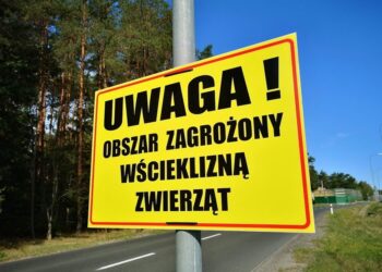 uwaga wścieklizna / naszebialeblota.pl