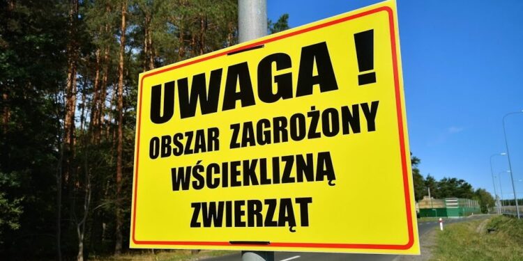 uwaga wścieklizna / naszebialeblota.pl