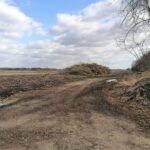 09.03.2022. Rzegocin. Teren, gdzie ma powstać farma fotowoltaiczna / Marta Gajda-Kruk / Radio Kielce