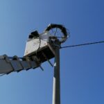 25.03.2022. Umianowice. Montowanie specjalnych platform, na których bociany będą mogły budować gniazda / Marta Gajda-Kruk / Radio Kielce