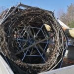 25.03.2022. Umianowice. Montowanie specjalnych platform, na których bociany będą mogły budować gniazda / Marta Gajda-Kruk / Radio Kielce