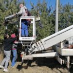 25.03.2022. Umianowice. Montowanie specjalnych platform, na których bociany będą mogły budować gniazda / Marta Gajda-Kruk / Radio Kielce