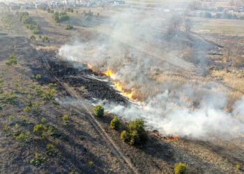 Spłonęło 15 hektarów nieużytków. Podpalacz w rękach policji