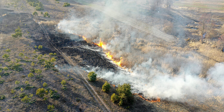 Spłonęło 15 hektarów nieużytków. Podpalacz w rękach policji