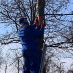 15.03.2022. Staszów. Montaż prawie 40 budek lęgowych dla ptaków w Parku Miejskim im. Górników Siarkowych / Piotr Andryka