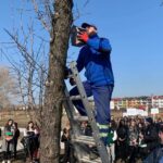 15.03.2022. Staszów. Montaż prawie 40 budek lęgowych dla ptaków w Parku Miejskim im. Górników Siarkowych / Piotr Andryka