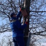 15.03.2022. Staszów. Montaż prawie 40 budek lęgowych dla ptaków w Parku Miejskim im. Górników Siarkowych / Piotr Andryka