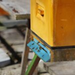 21.03.2022. Kielce. Wiosna - przyroda budzi się do życia / Wiktor Taszłow / Radio Kielce