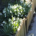 21.03.2022. Kielce. Wiosna - przyroda budzi się do życia / Wiktor Taszłow / Radio Kielce