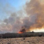 15.03.2022. Świętokrzyskie. Pożary traw i nieużytków / KP PSP w Sandomierzu