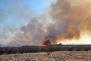 15.03.2022. Świętokrzyskie. Pożary traw i nieużytków / KP PSP w Sandomierzu