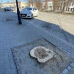 15.03.2022. Opatów. Wycięte drzewa na Rynku / Emilia Sitarska / Radio Kielce