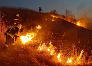 pożar osp noc wypalanie traw / OSP Bodzechów