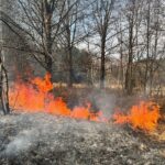 27.03.2022. Świętokrzyskie. Pożary nieużytków i lasów / OSP KSRG Piekoszów