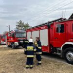 27.03.2022. Świętokrzyskie. Pożary nieużytków i lasów / OSP KSRG Piekoszów