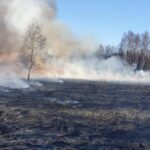 Duże zagrożenie pożarowe w lasach na terenie województwa
