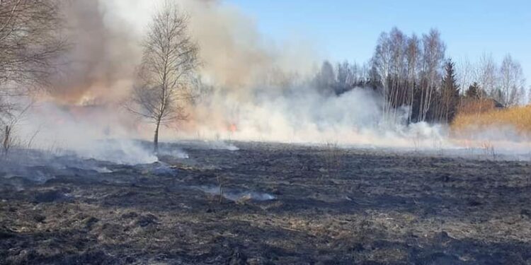 Duże zagrożenie pożarowe w lasach na terenie województwa