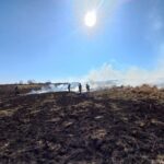 15.03.2022. Świętokrzyskie. Pożary traw i nieużytków / OSP Motkowice