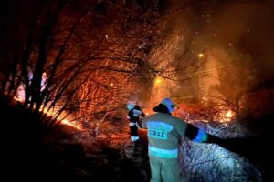 15.03.2022. Świętokrzyskie. Pożary traw i nieużytków / OSP KSRG Piekoszów