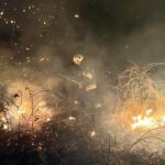 15.03.2022. Świętokrzyskie. Pożary traw i nieużytków / OSP KSRG Piekoszów