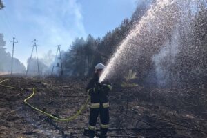 15.03.2022. Świętokrzyskie. Pożary traw i nieużytków / OSP Ruda Maleniecka