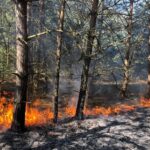 15.03.2022. Świętokrzyskie. Pożary traw i nieużytków / OSP Ruda Maleniecka