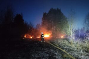 15.03.2022. Świętokrzyskie. Pożary traw i nieużytków / OSP Samsonów