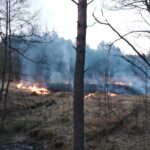 15.03.2022. Świętokrzyskie. Pożary traw i nieużytków / OSP Samsonów